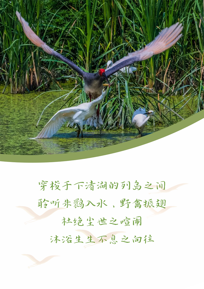 心心念廿 相伴尊龙凯时人生就搏 | 与德清相约 贺廿载诞辰